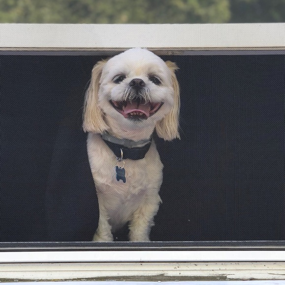 Happy Poshing! - Picture 2 of 2